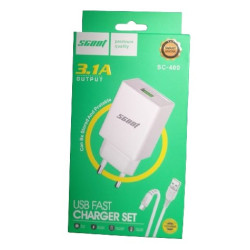 Chargeur Type C 3.1A SCOOT SC-400